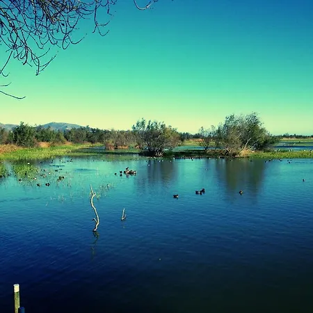 Hotel Casa Del Mar & Roses