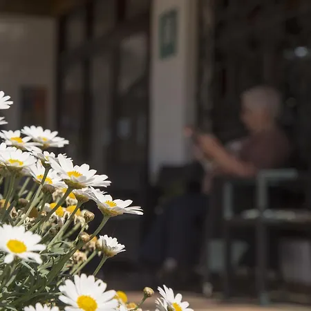 Ξενοδοχείο Casa Del Mar & *