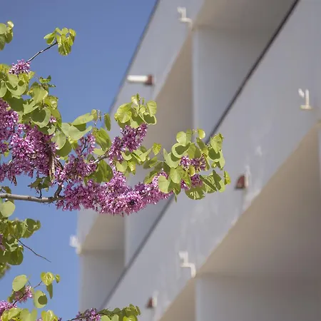 Hotel Casa Del Mar & *